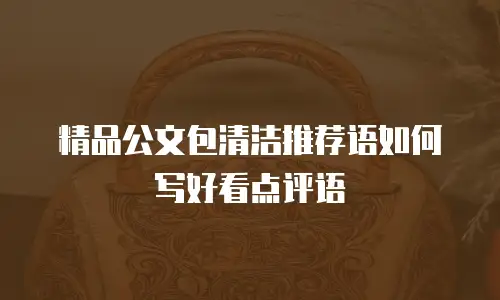 精品公文包清洁推荐语如何写好看点评语