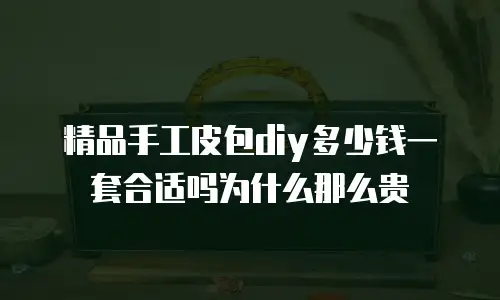精品手工皮包diy多少钱一套合适吗为什么那么贵