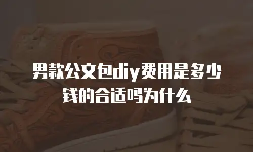 男款公文包diy费用是多少钱的合适吗为什么