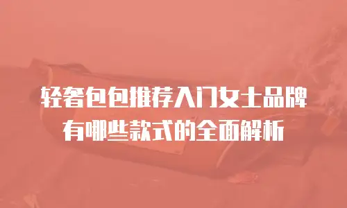 轻奢包包推荐入门女士品牌有哪些款式的全面解析