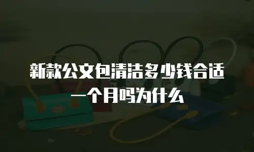 新款公文包清洁多少钱合适一个月吗为什么