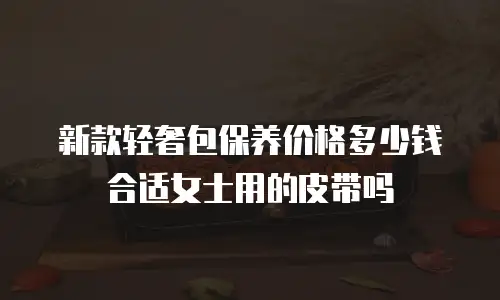 新款轻奢包保养价格多少钱合适女士用的皮带吗