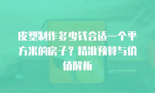 皮塑制作多少钱合适一个平方米的房子？精准预算与价值解析