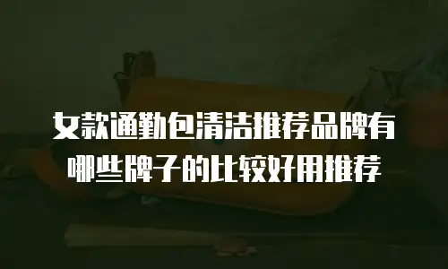 女款通勤包清洁推荐品牌有哪些牌子的比较好用推荐