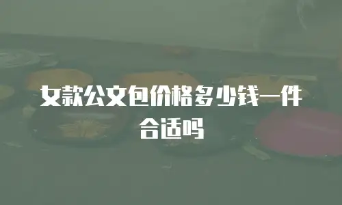 女款公文包价格多少钱一件合适吗