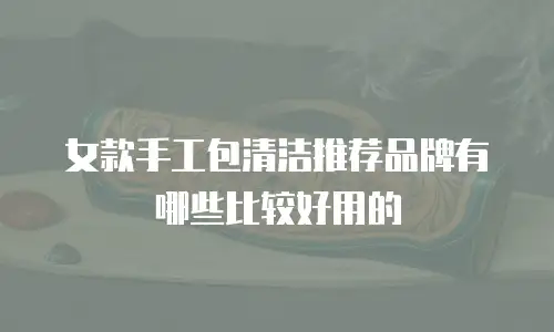 女款手工包清洁推荐品牌有哪些比较好用的