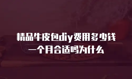 精品牛皮包diy费用多少钱一个月合适吗为什么