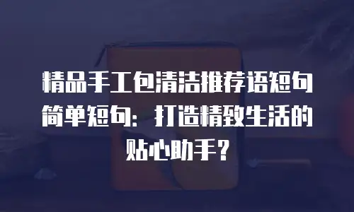 精品手工包清洁推荐语短句简单短句：打造精致生活的贴心助手？