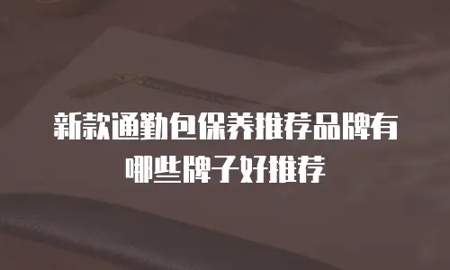 新款通勤包保养推荐品牌有哪些牌子好推荐