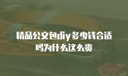 精品公文包diy多少钱合适吗为什么这么贵