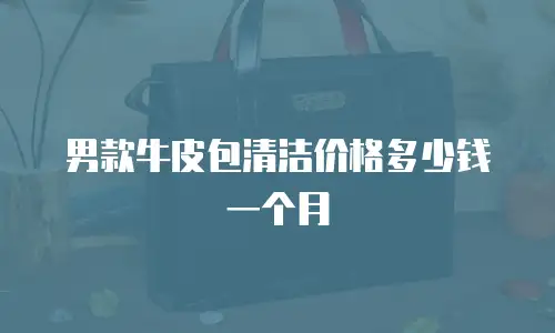 男款牛皮包清洁价格多少钱一个月