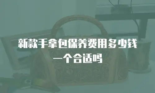 新款手拿包保养费用多少钱一个合适吗