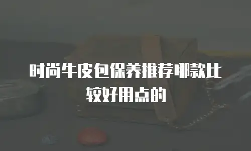 时尚牛皮包保养推荐哪款比较好用点的
