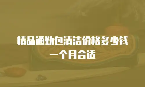 精品通勤包清洁价格多少钱一个月合适