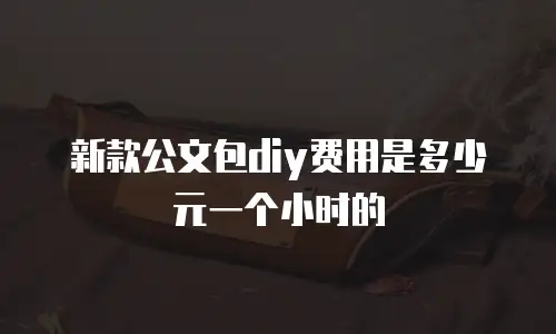 新款公文包diy费用是多少元一个小时的