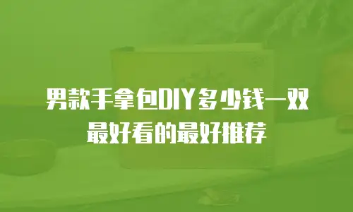 男款手拿包DIY多少钱一双最好看的最好推荐