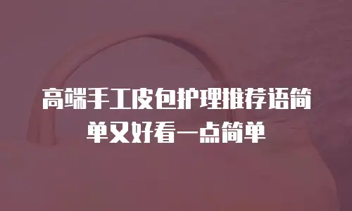 高端手工皮包护理推荐语简单又好看一点简单