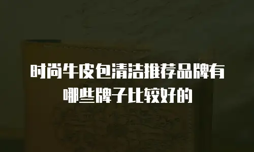 时尚牛皮包清洁推荐品牌有哪些牌子比较好的