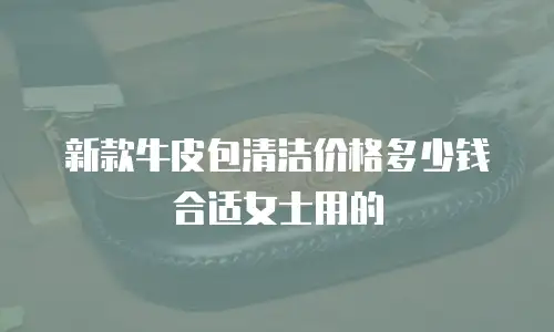新款牛皮包清洁价格多少钱合适女士用的