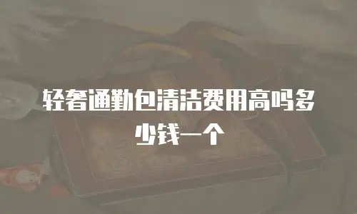 轻奢通勤包清洁费用高吗多少钱一个