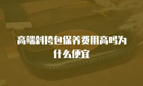 高端斜挎包保养费用高吗为什么便宜