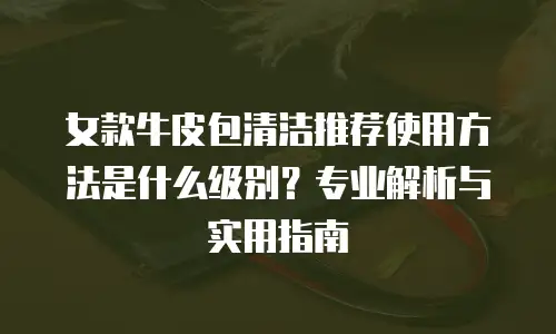 女款牛皮包清洁推荐使用方法是什么级别？专业解析与实用指南