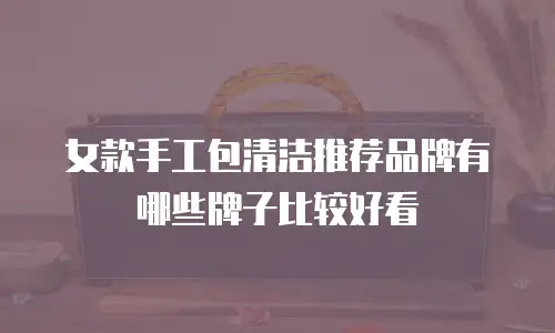 女款手工包清洁推荐品牌有哪些牌子比较好看