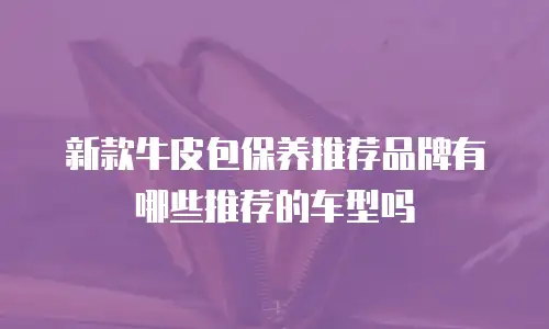 新款牛皮包保养推荐品牌有哪些推荐的车型吗