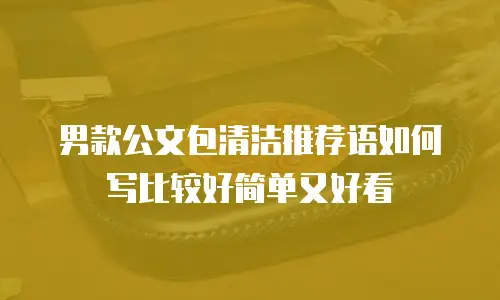 男款公文包清洁推荐语如何写比较好简单又好看