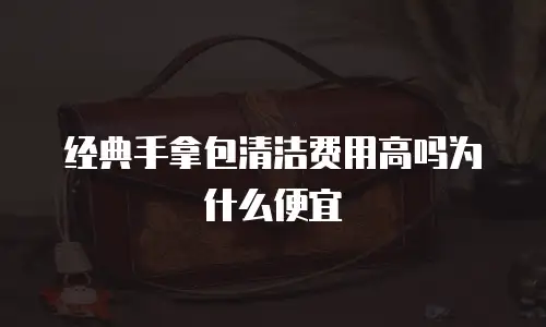 经典手拿包清洁费用高吗为什么便宜