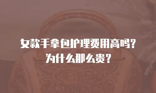 女款手拿包护理费用高吗？为什么那么贵？