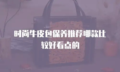 时尚牛皮包保养推荐哪款比较好看点的