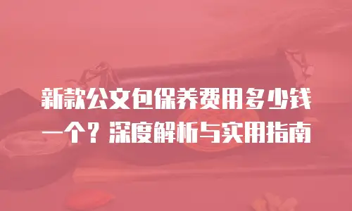 新款公文包保养费用多少钱一个？深度解析与实用指南