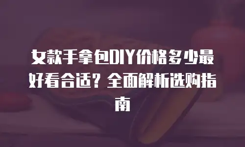 女款手拿包DIY价格多少最好看合适？全面解析选购指南