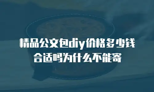 精品公文包diy价格多少钱合适吗为什么不能寄