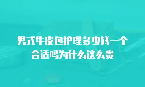 男式牛皮包护理多少钱一个合适吗为什么这么贵