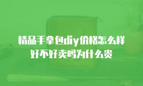 精品手拿包diy价格怎么样好不好卖吗为什么贵