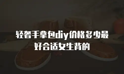 轻奢手拿包diy价格多少最好合适女生背的