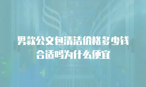 男款公文包清洁价格多少钱合适吗为什么便宜