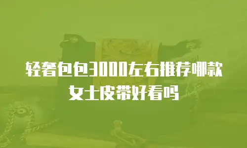 轻奢包包3000左右推荐哪款女士皮带好看吗