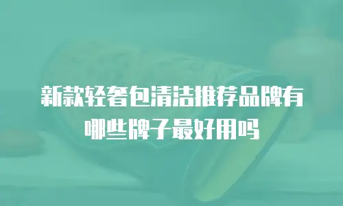 新款轻奢包清洁推荐品牌有哪些牌子最好用吗