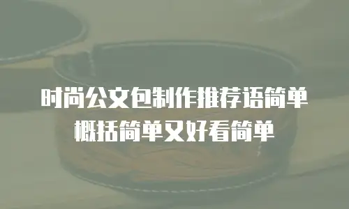 时尚公文包制作推荐语简单概括简单又好看简单