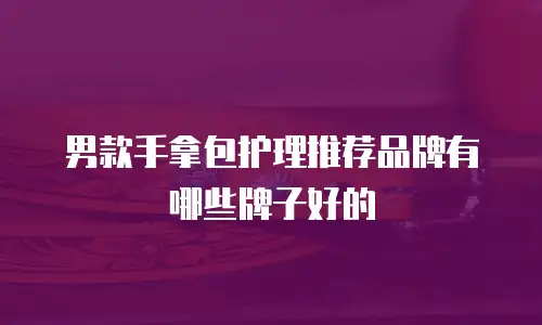 男款手拿包护理推荐品牌有哪些牌子好的
