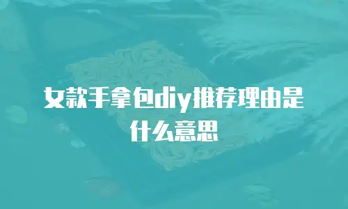 女款手拿包diy推荐理由是什么意思