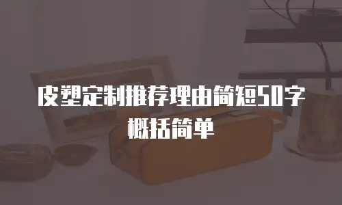 皮塑定制推荐理由简短50字概括简单