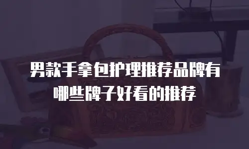 男款手拿包护理推荐品牌有哪些牌子好看的推荐