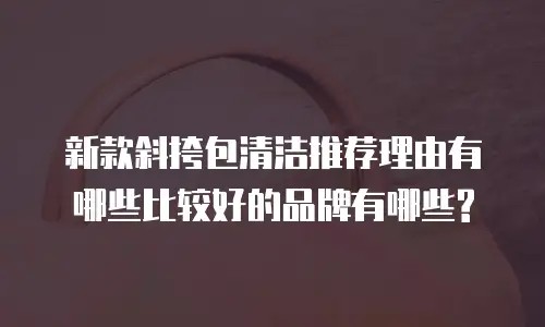 新款斜挎包清洁推荐理由有哪些比较好的品牌有哪些?