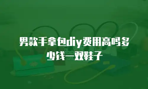 男款手拿包diy费用高吗多少钱一双鞋子
