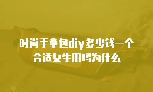 时尚手拿包diy多少钱一个合适女生用吗为什么