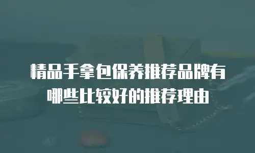 精品手拿包保养推荐品牌有哪些比较好的推荐理由
